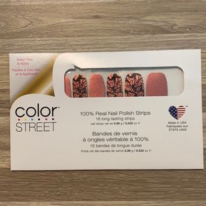 Colorstreet- Wing it On